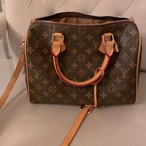 Louis Vuitton hand/shoulder bag